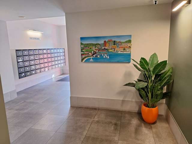 55/29 Webb Street Te Aro_1