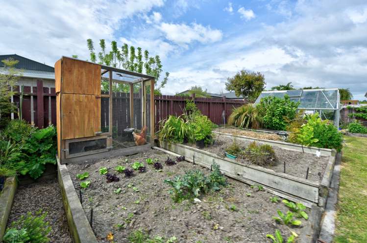 24 Koa Street Gore_19