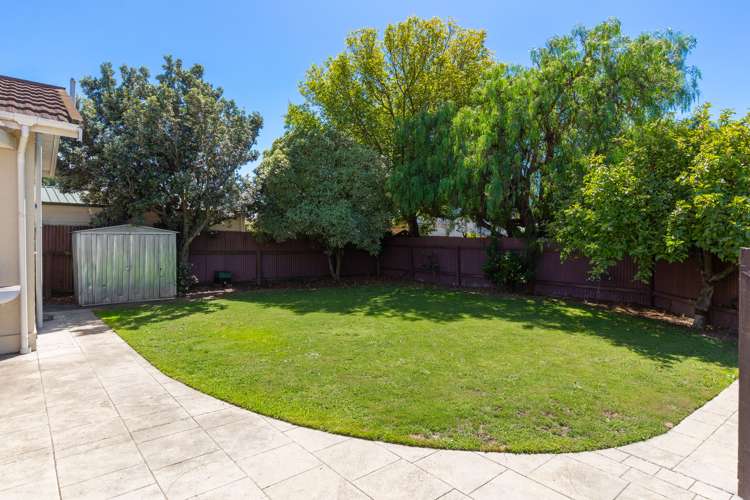 125a Howick Road Redwoodtown_17