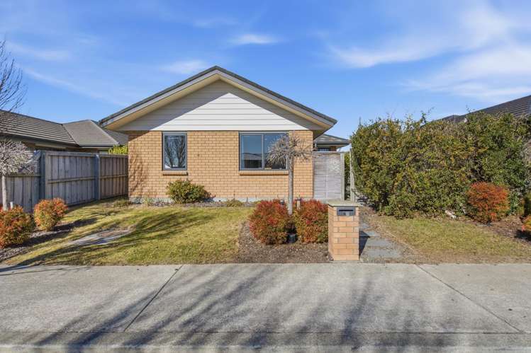 67 Barnes Street Pegasus_24