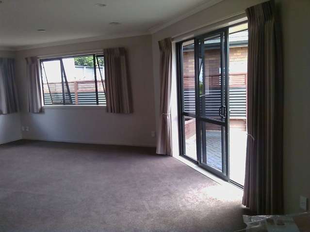 368 Mahoe Street Te Awamutu_1