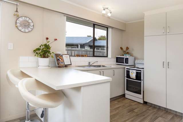 15D Muller Road Blenheim_4