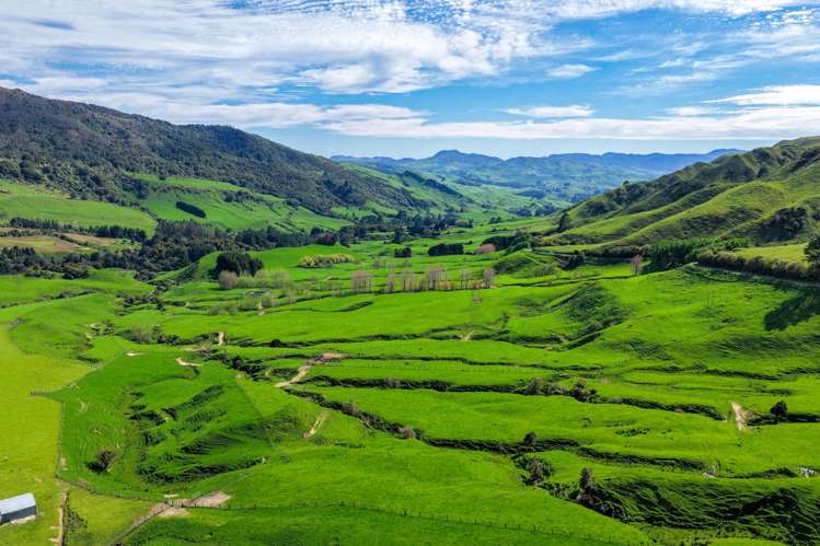 439 Rakauroa Road Matawai_1