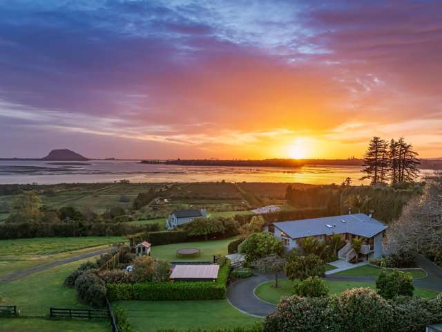 30 Oikimoke Road Te Puna_2