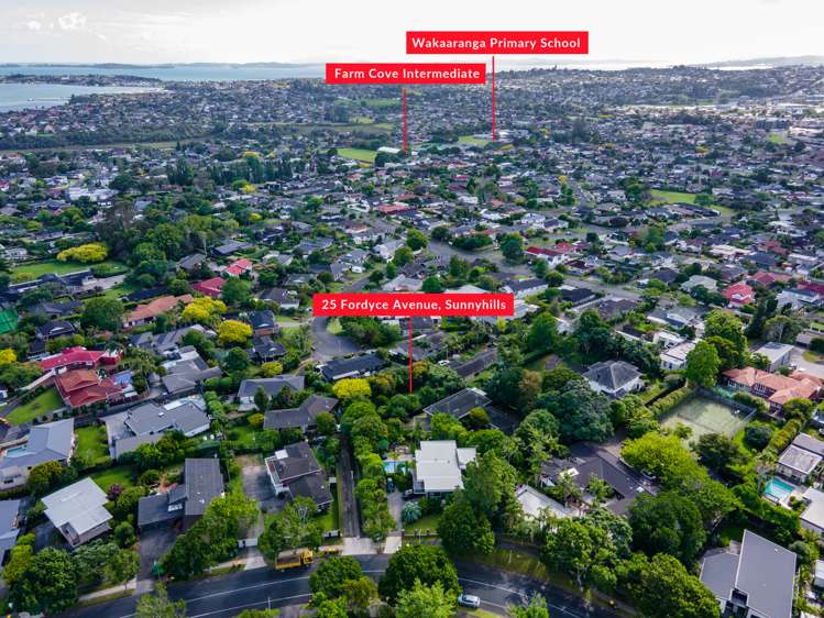 25 Fordyce Avenue Sunnyhills_11