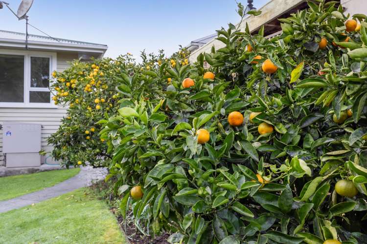 43 Cameron Street Hawera_41