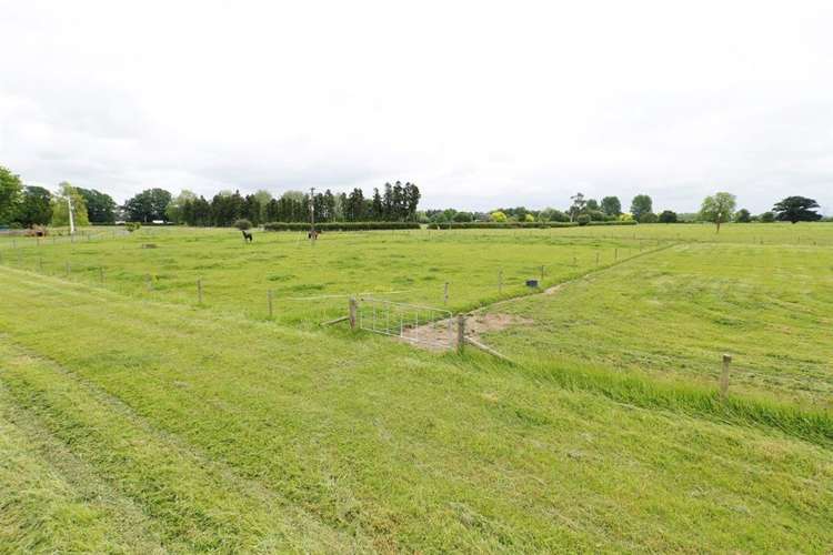 396a Bruntwood Road Matangi_10