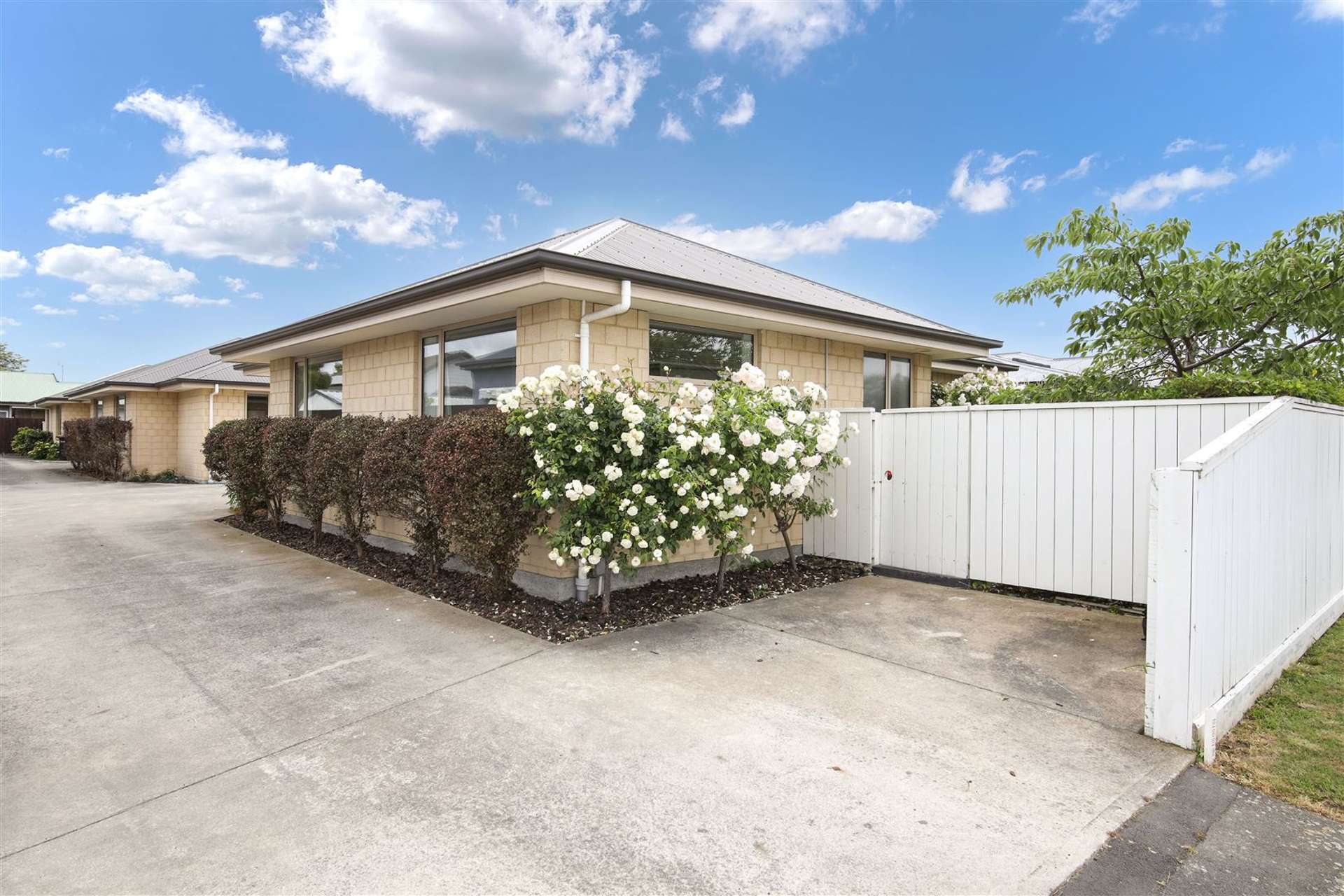 25 Seddon Street Sydenham_0