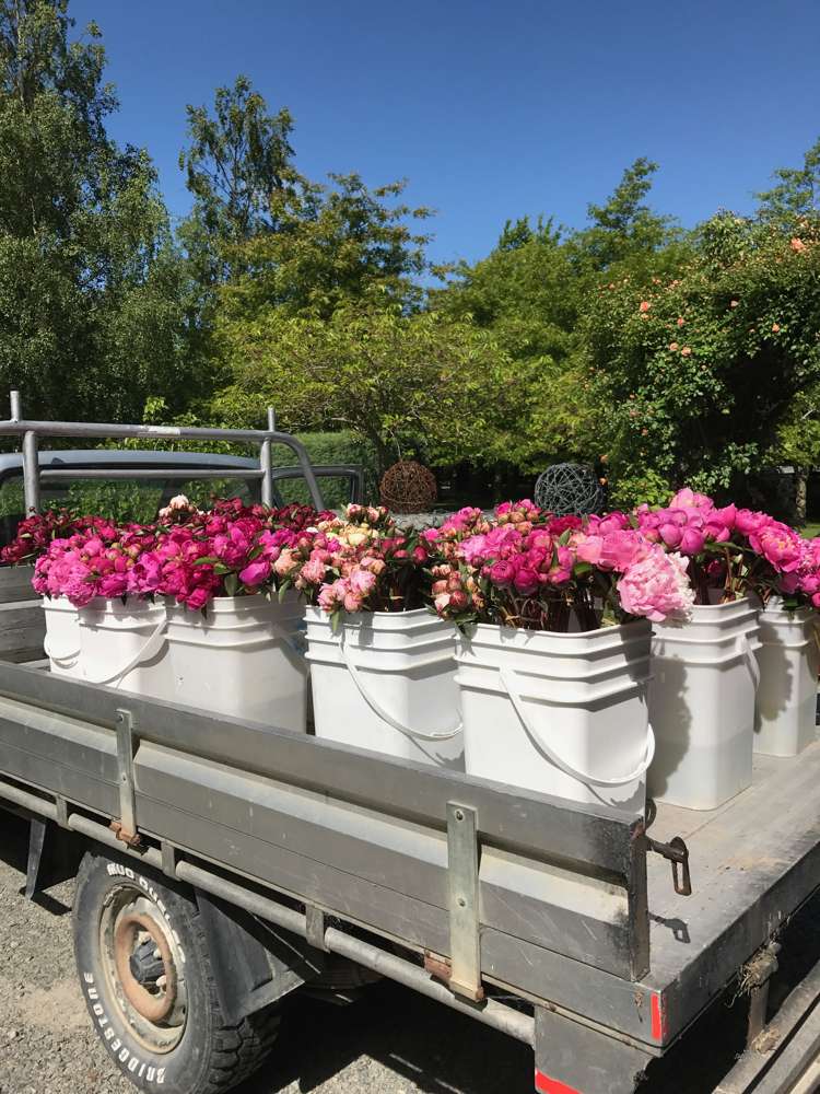 66 Coldstream Road Rangiora_14