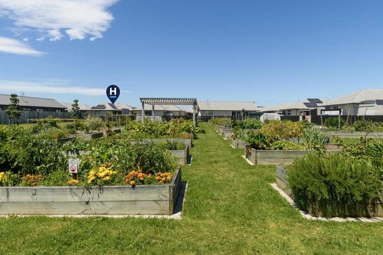 66 Arrow Close Papamoa_15