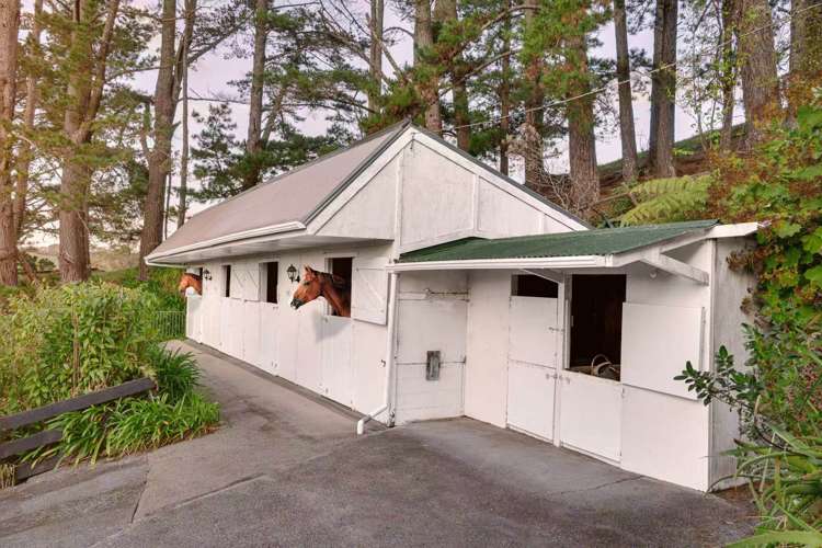 770 Blackbridge Road Waitoki_26