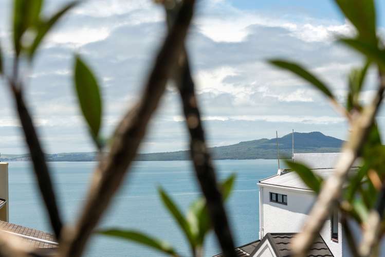 205 Beach Road Campbells Bay_40