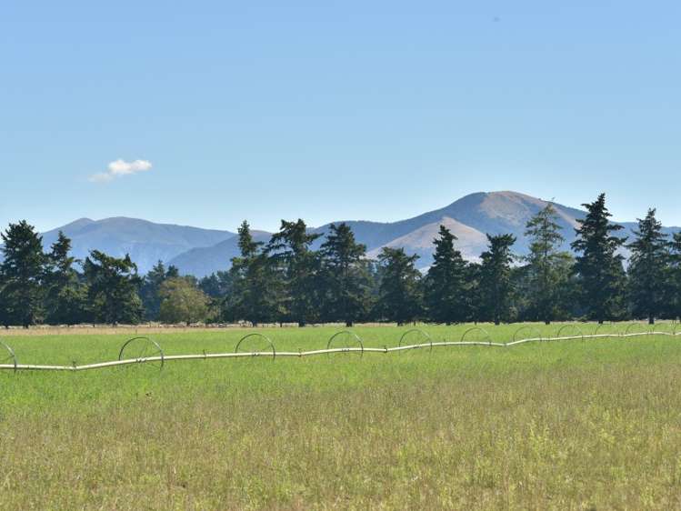 787 Birch Hill Road Okuku_12