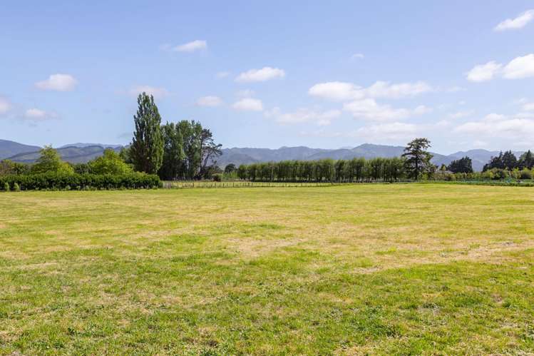 228B Wood Street Greytown_8