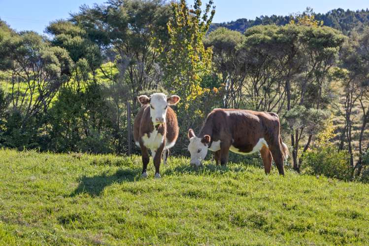 240 Sunnyside Road Coatesville_25