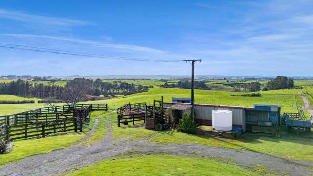 2A Ropata Street Hawera_2