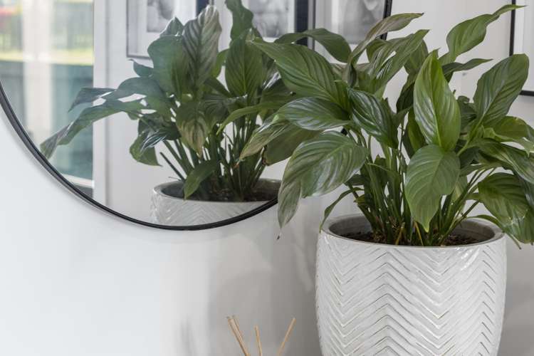 8 Matau Close Te Kauwhata_26