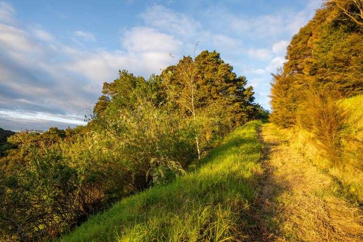 921 Pataua North Road Whareora_20
