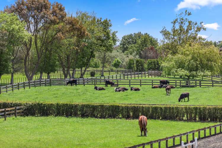 28 Ellett Road Karaka_16