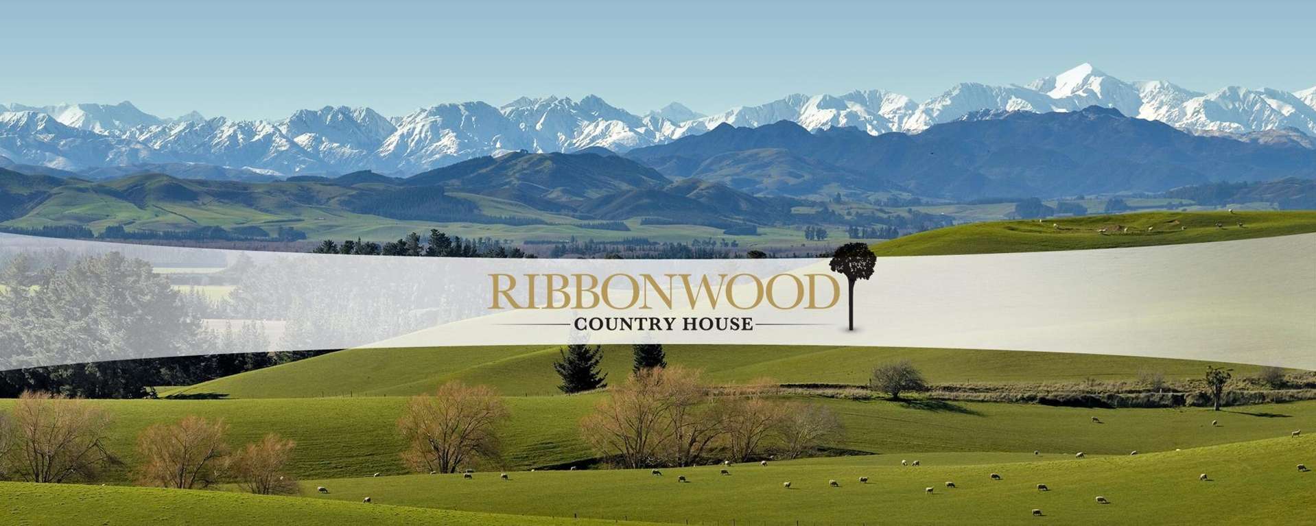 124 Cheviot Heights Cheviot_0