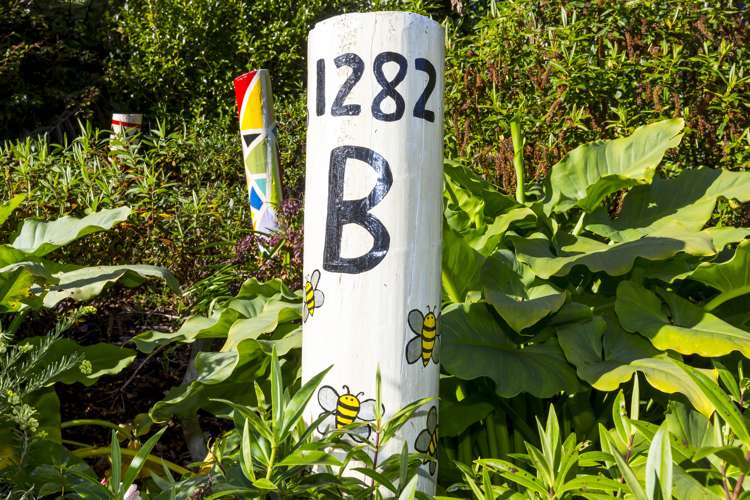 1282b Fergusson Drive Brown Owl_23