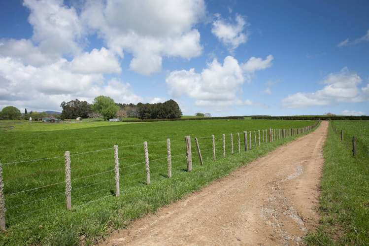 80 Paratu Road Richmond Downs_19