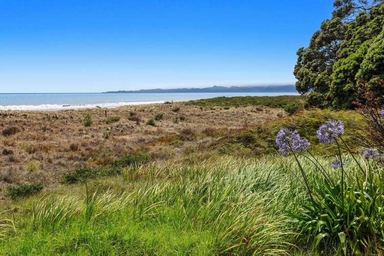 215 Ohiwa Beach Road Waiotahe_19