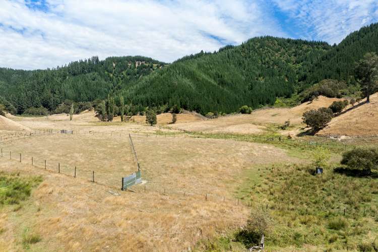 407 Onamalutu Road Wairau Valley_50