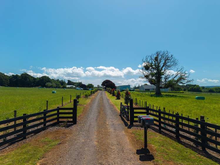 355a Waikaramu Road Waimate North_29
