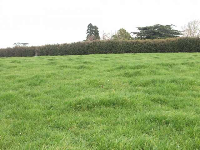 273 Opunake Road Cardiff_3