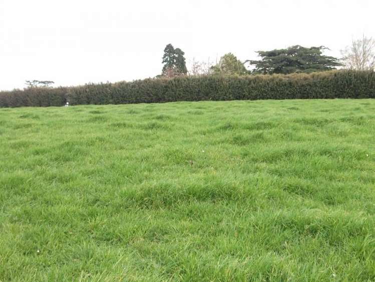 273 Opunake Road Cardiff_3