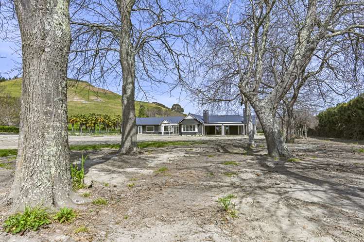 664a Swamp Road Puketapu_15