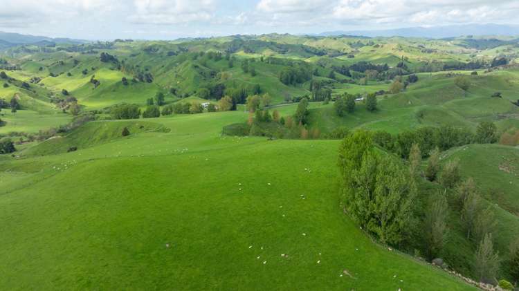 1163 Mangamako Road Ohingaiti_34