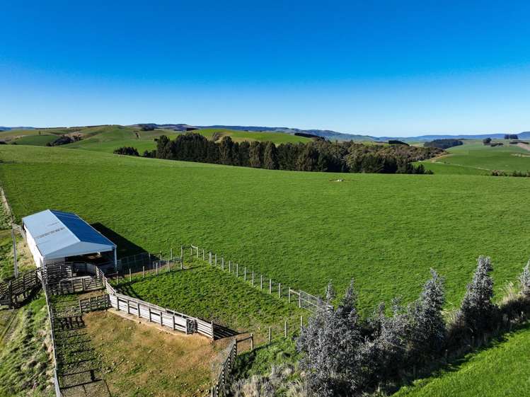 125B Davidson Road Mimihau_19