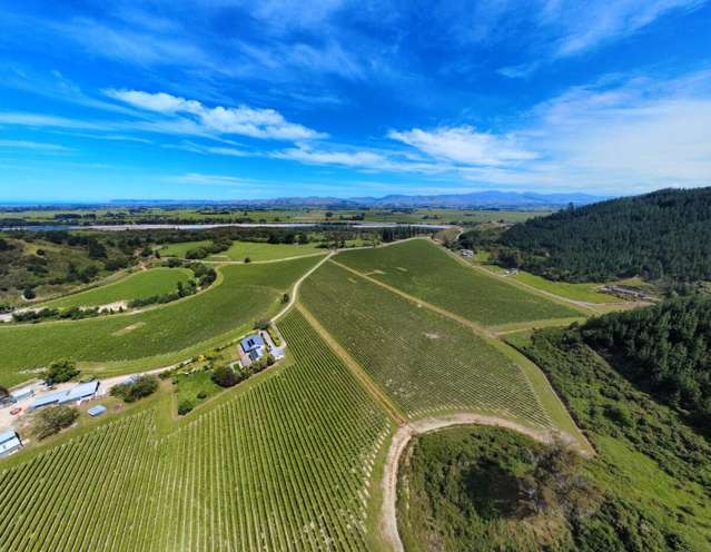 596 Kaituna Tuamarina Road Tuamarina_2