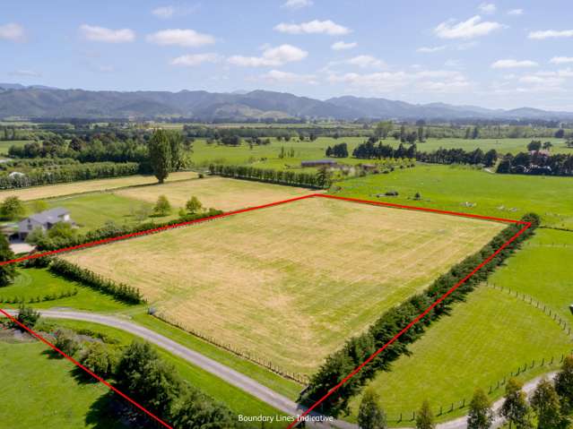 228B Wood Street Greytown_3