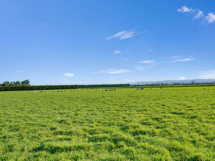 21 Dominion Road Timaru_7