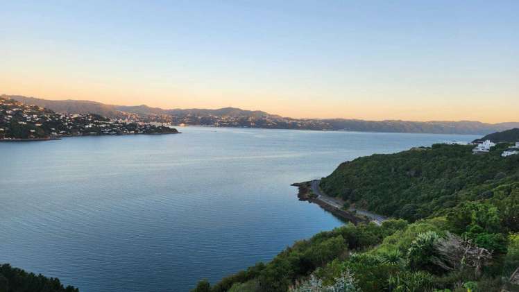 43 Kaikoura Street_0