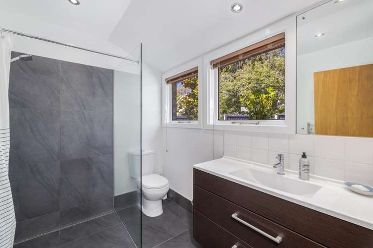 21 Desmond Street Fendalton_13