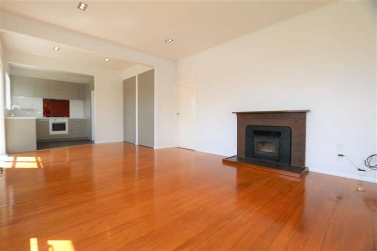 31 Springleigh Avenue Mount Albert_8