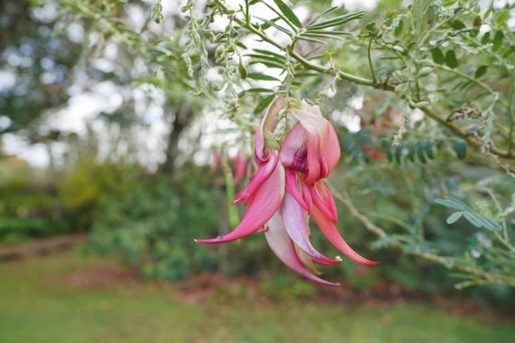 120 Maher Street Tisbury_28