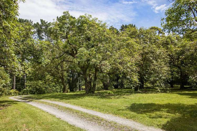 140A Wharawhara Road Katikati_32