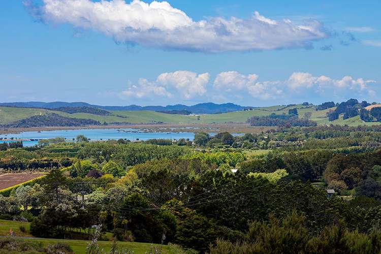 70 Upper Whangateau Road Big Omaha_10