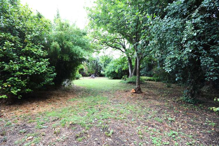 40 Alma Street Renwick_18