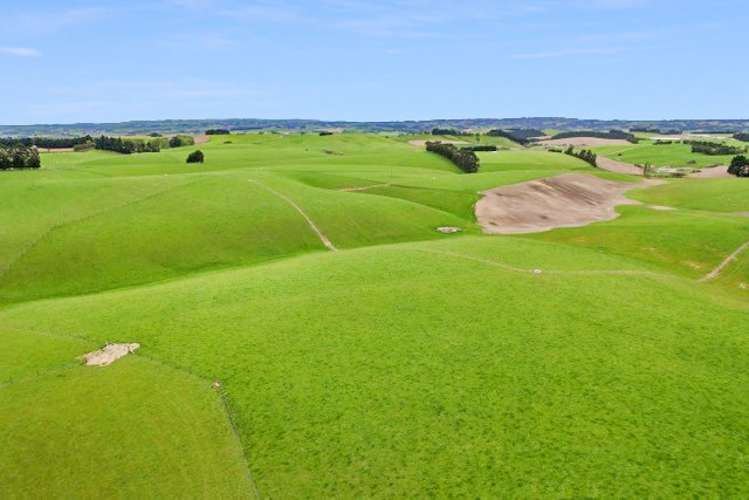 355 Clifton Road Clinton and Surrounds_10