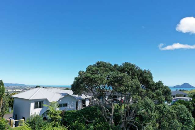 55 Melville Drive Whakatane_1
