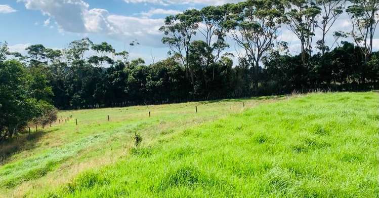 152 Aka Aka Road Puni_30