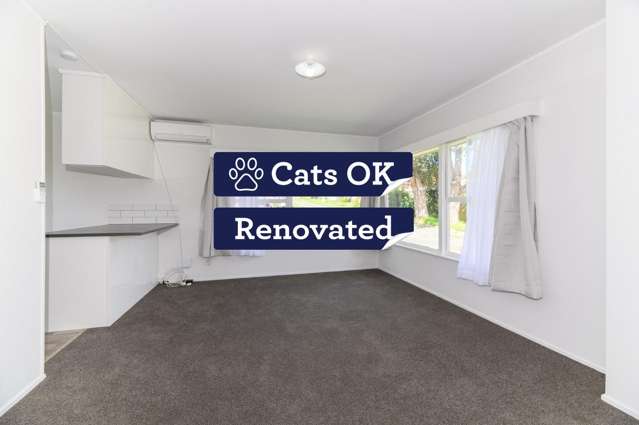 New kitchen, New carpet, New painting! You shouldn't miss it - CAT friendly