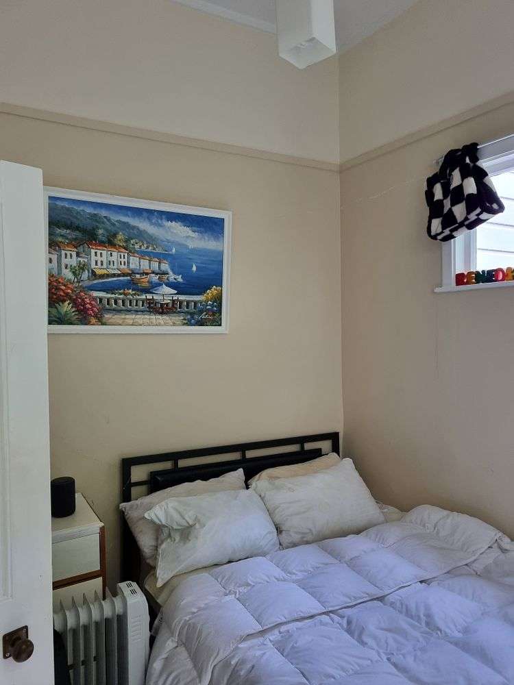 13 Mortimer Terrace Aro Valley_20