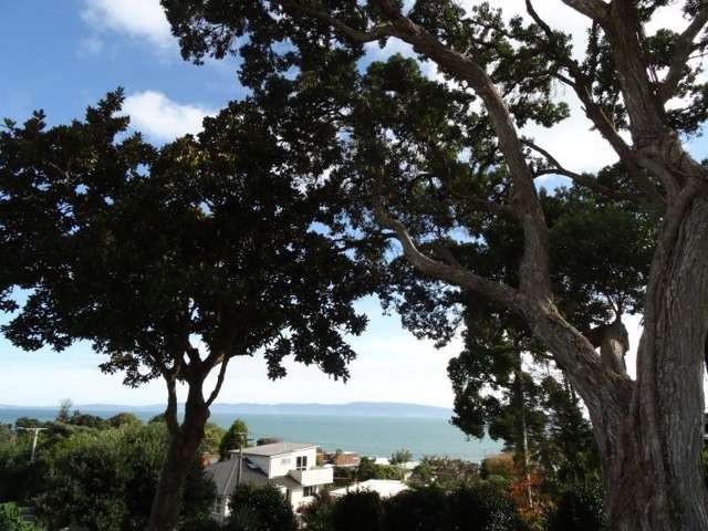 20 Patui Avenue Ngarimu Bay_1